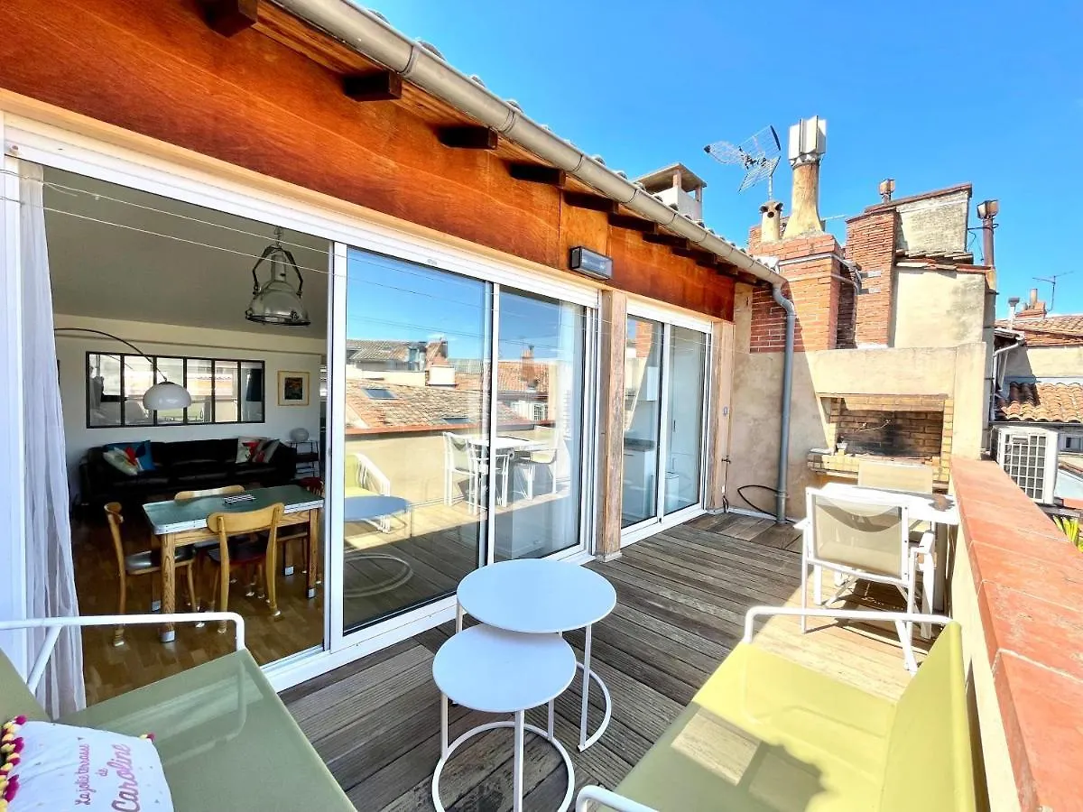 Le Jacobin - Terrasse Avec Vue Sur Les Toits Apartment Toulouse