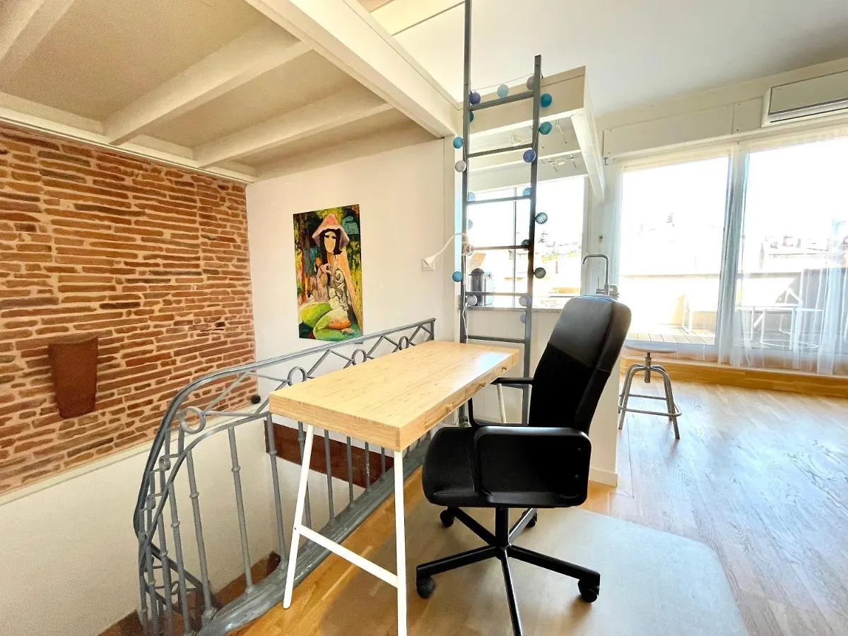 Le Jacobin - Terrasse Avec Vue Sur Les Toits Apartment Toulouse France